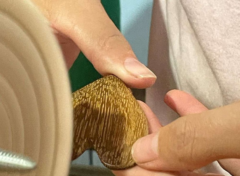 Mãos trançando fibra natural da floresta